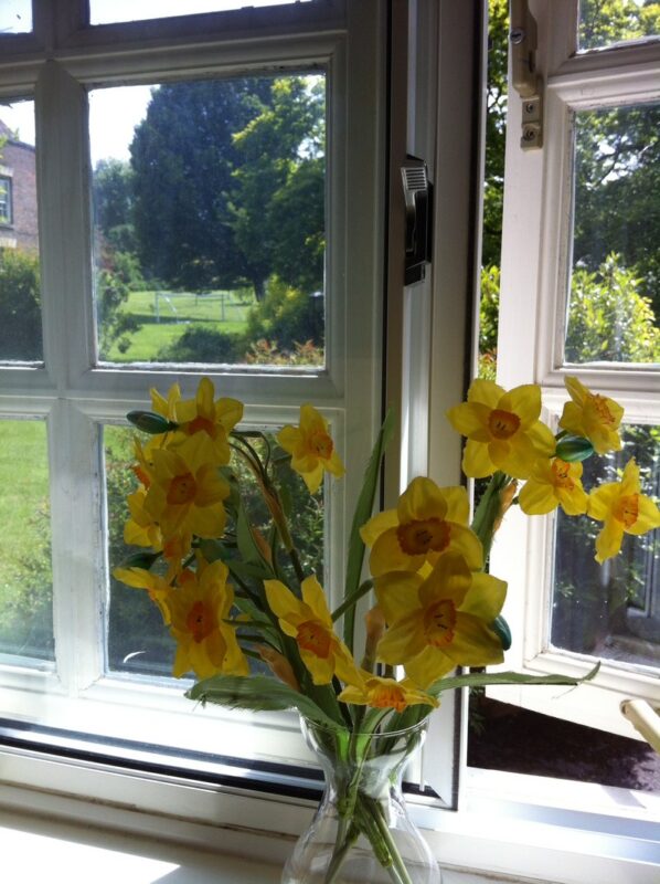 larger cottage windowsill2 Gloucestershire Cotswolds Self Catering Cottages